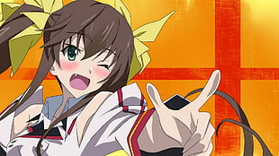 Infinite Stratos character brown haired anime girl